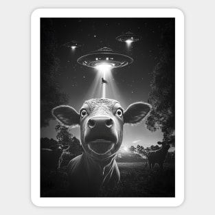 Funny Cow Selfie with UFOs Alien Abduction Humor Design Sticker